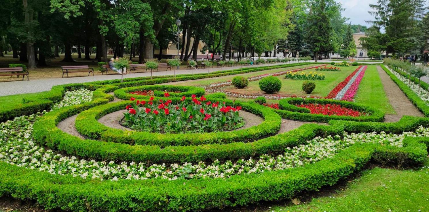 Rezydencja Pod Teznia & Spa Іновроцлав Екстер'єр фото